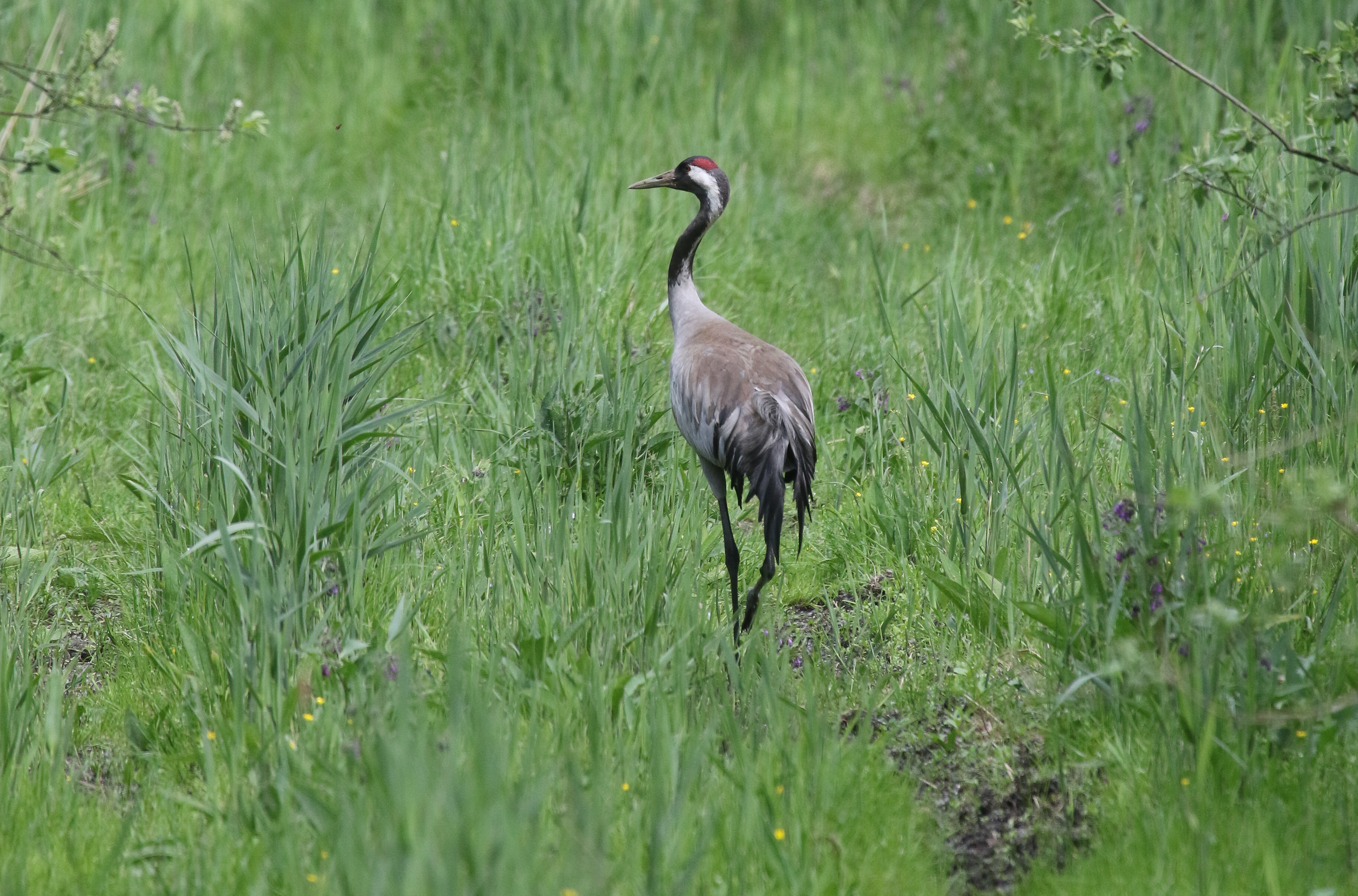Wyprawa do Ptasiego Raju - 1