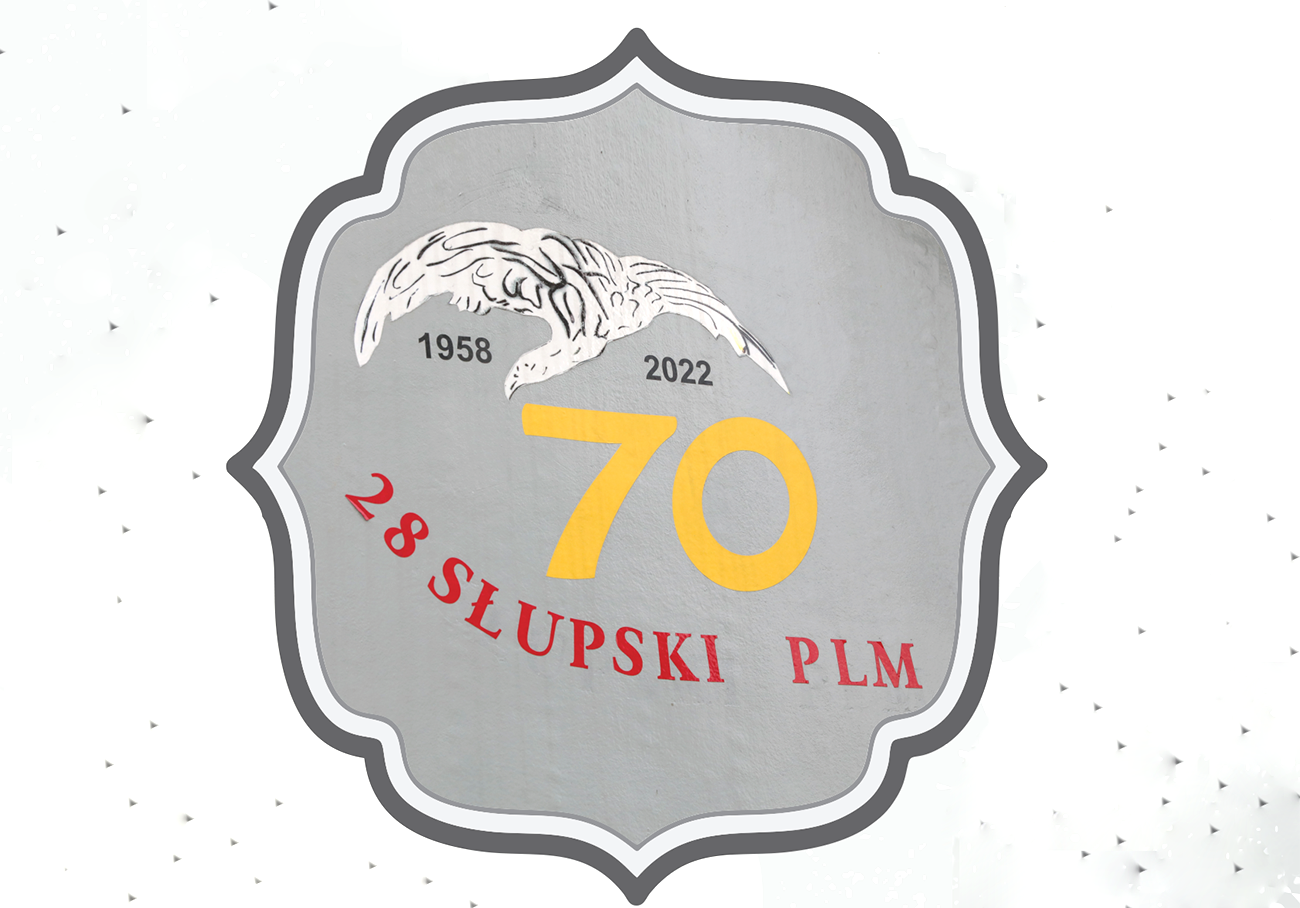 Lotnicza przygoda w Redzikowie - 1