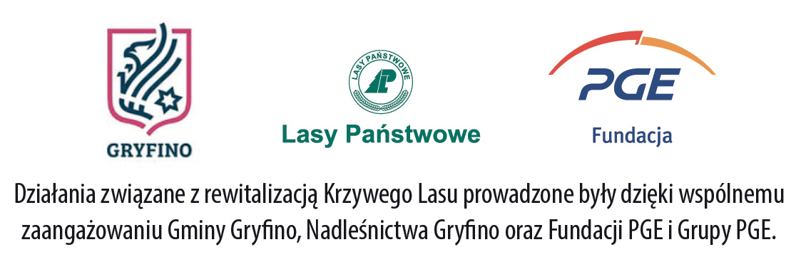 Tajemnice Krzywego Lasu