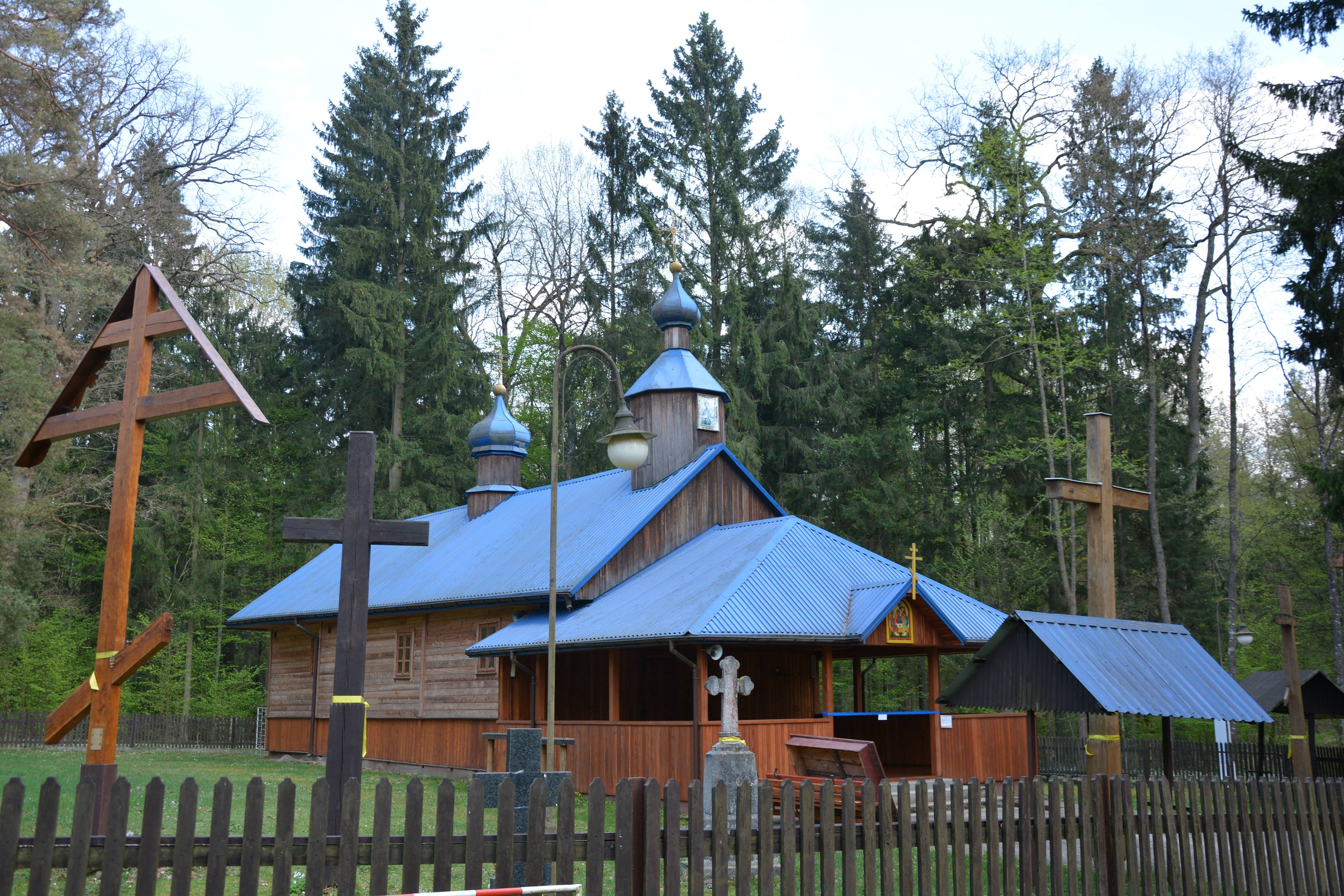 Świetlista Krynoczka - 1