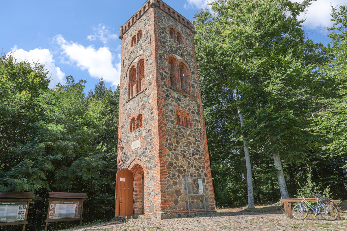 Co skrywa Żarski Las i okolice?