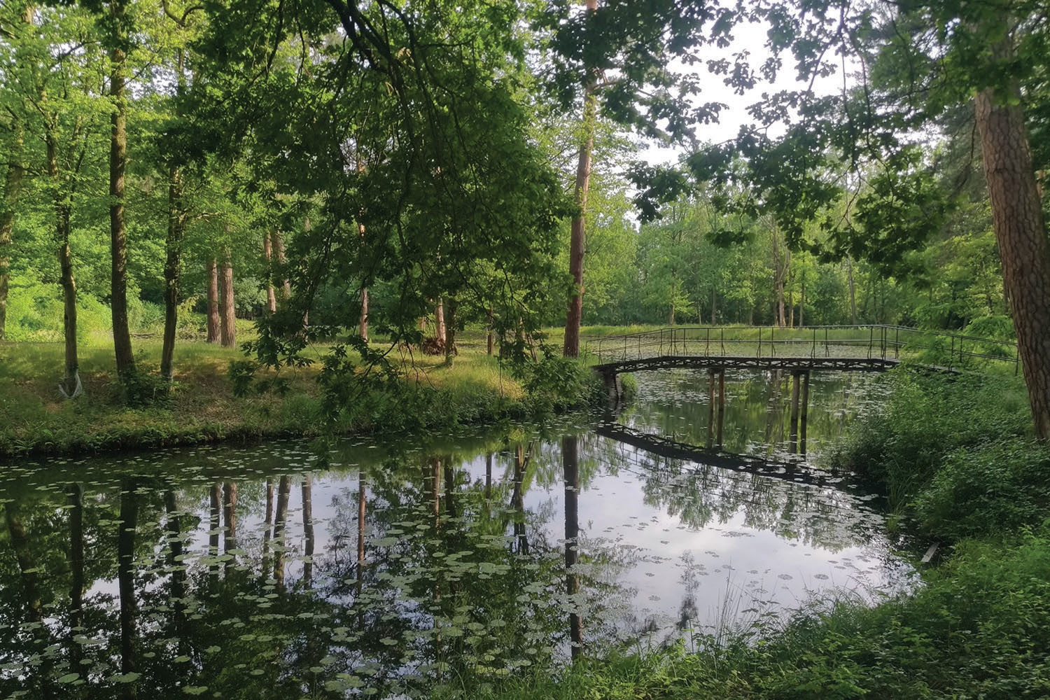 Po włościach Potockich z Rakszawy do Potoka - 1