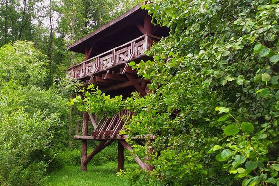 Skarby Zimnych Dołów - 1