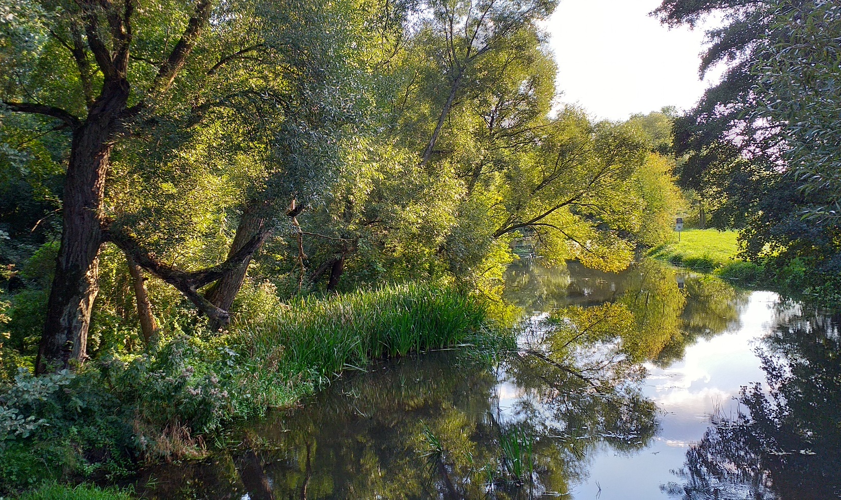 Rymami zdobiony świat „Światka” - 1