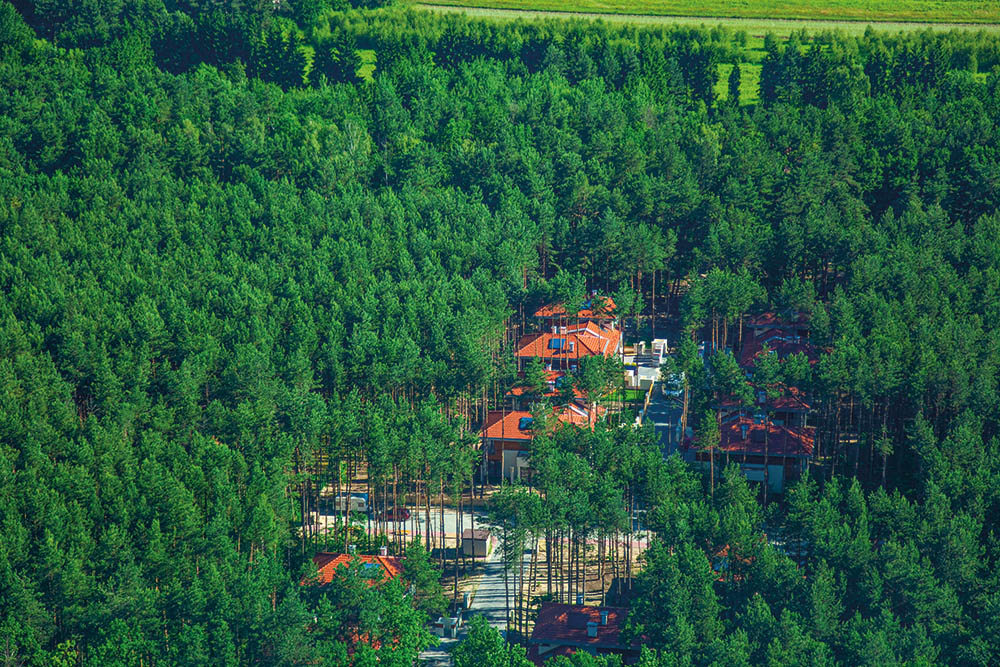 Zagadki Magdalenki - 1