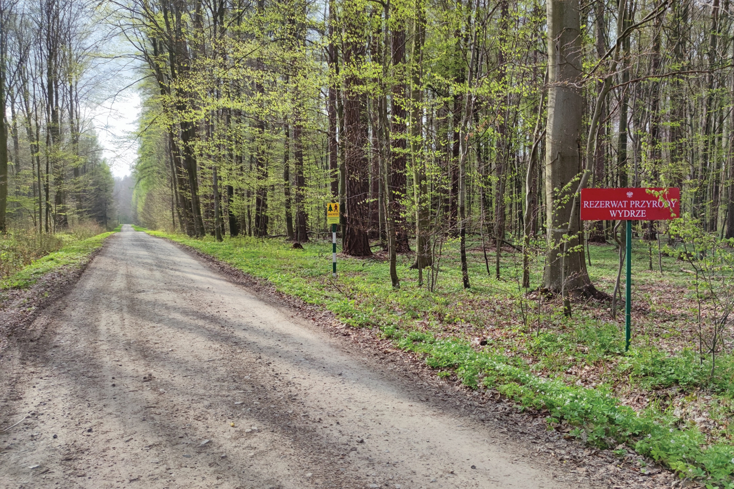 Wydrze - skarby lasów rodu Potockich - 1