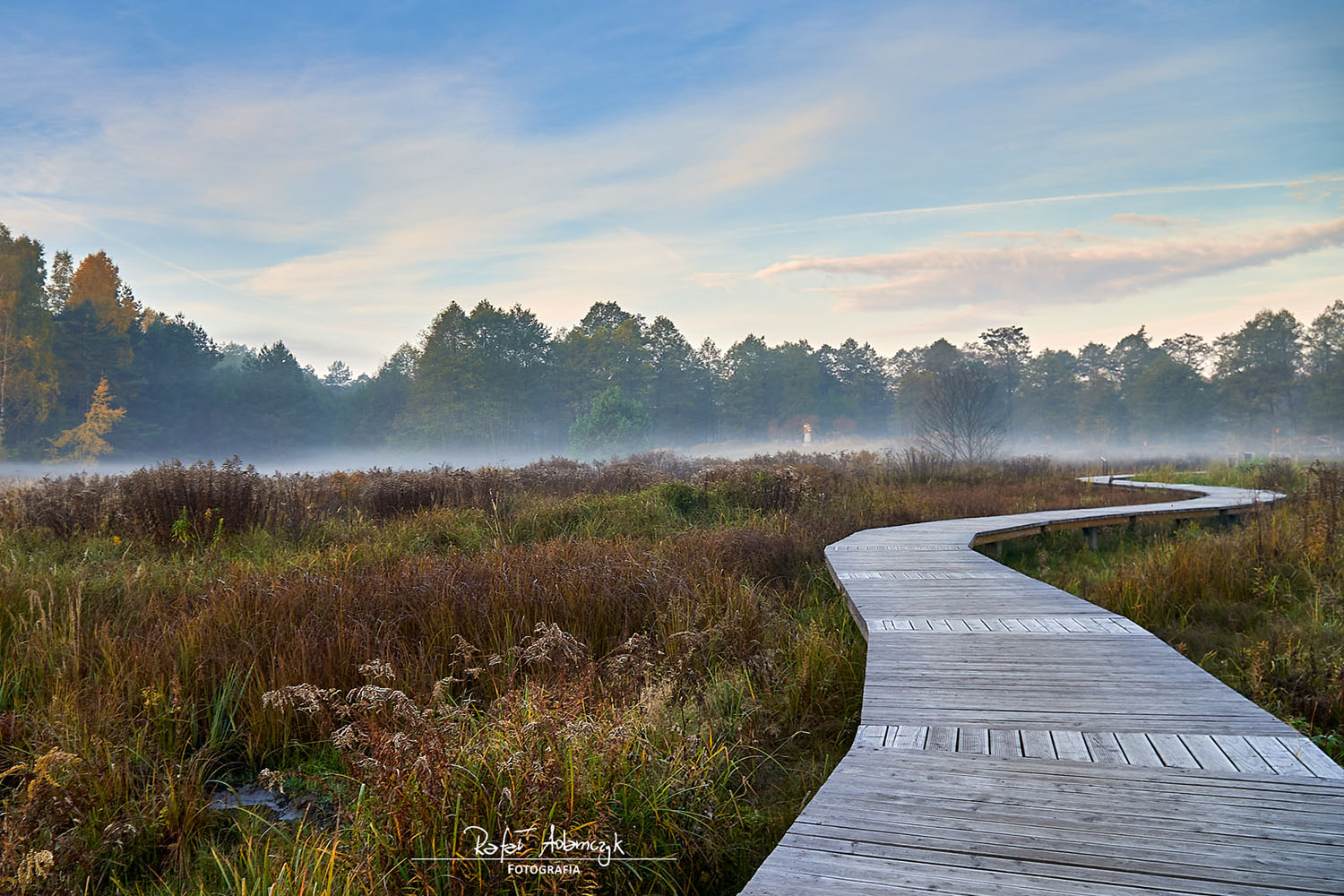 Zagubieni w przyrodzie Doliny Białej Przemszy - 1