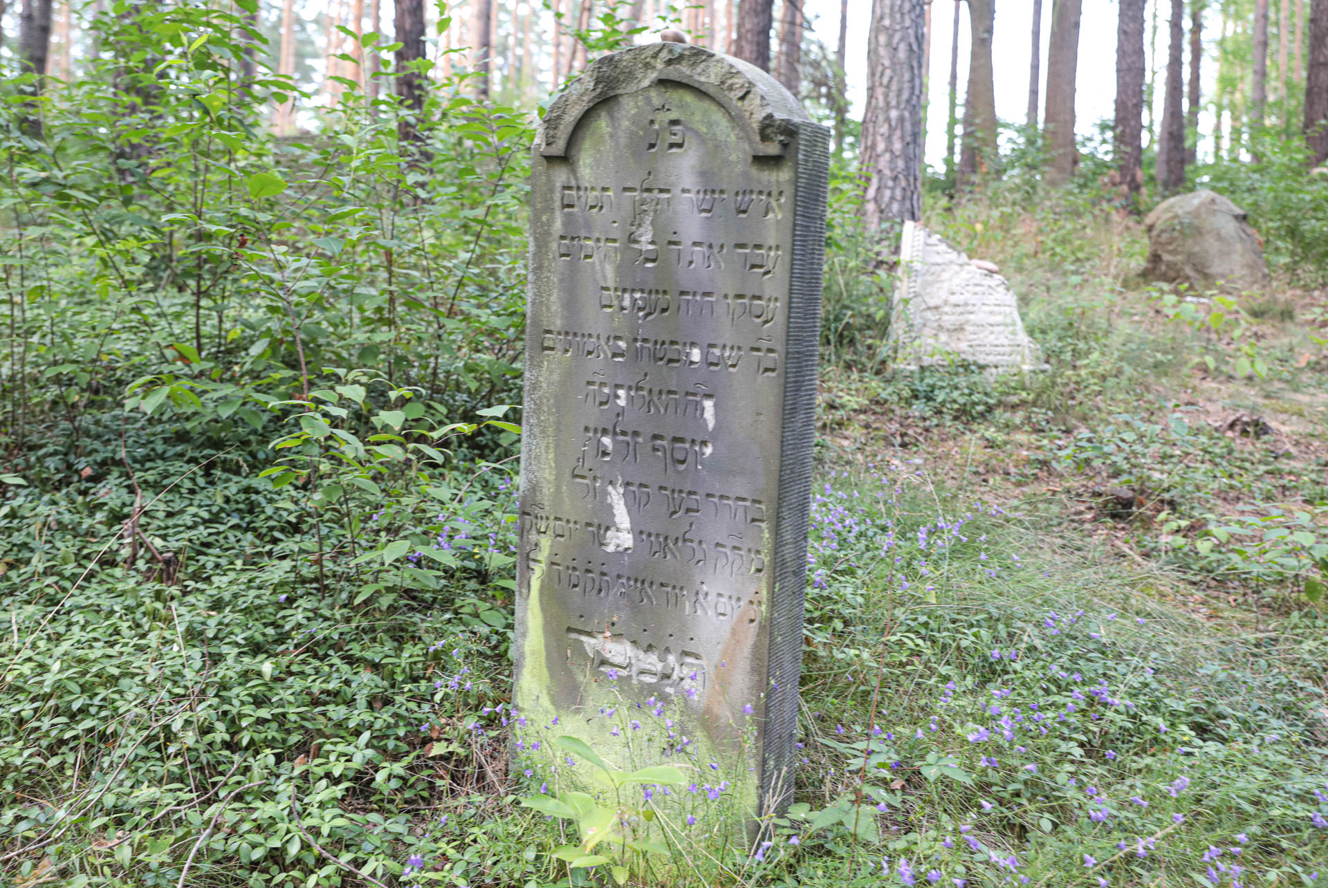 Znane i nieznane Miłocice - 1