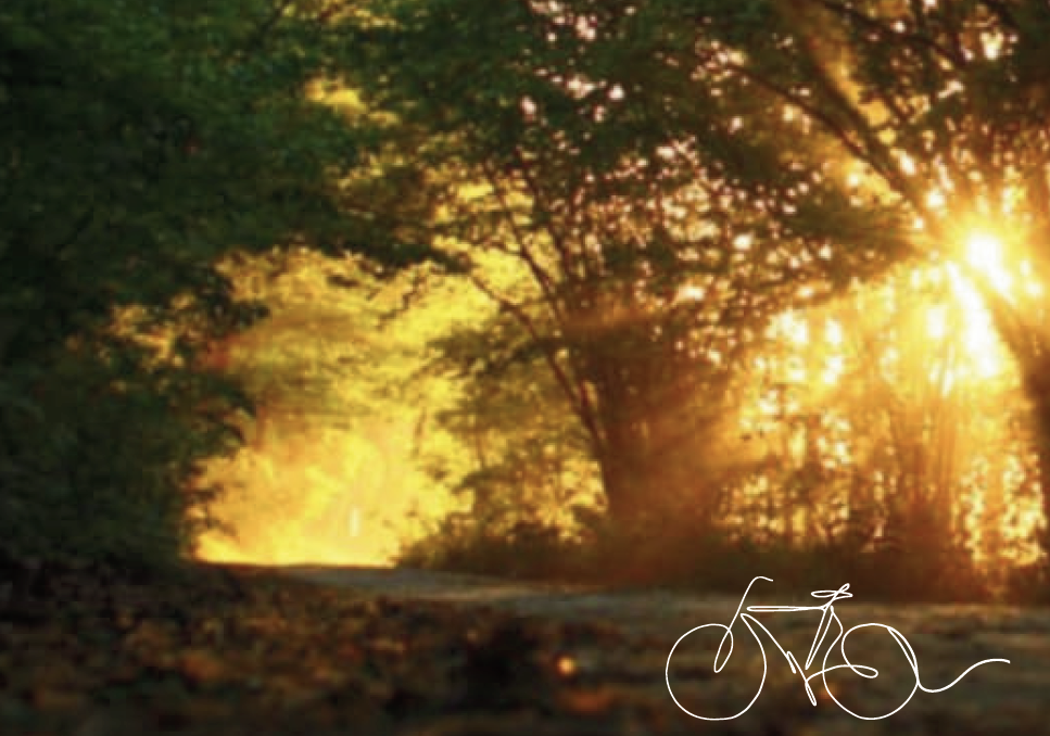 Gęś z polotem. Szprychami po krzakach w Dolinie Samicy