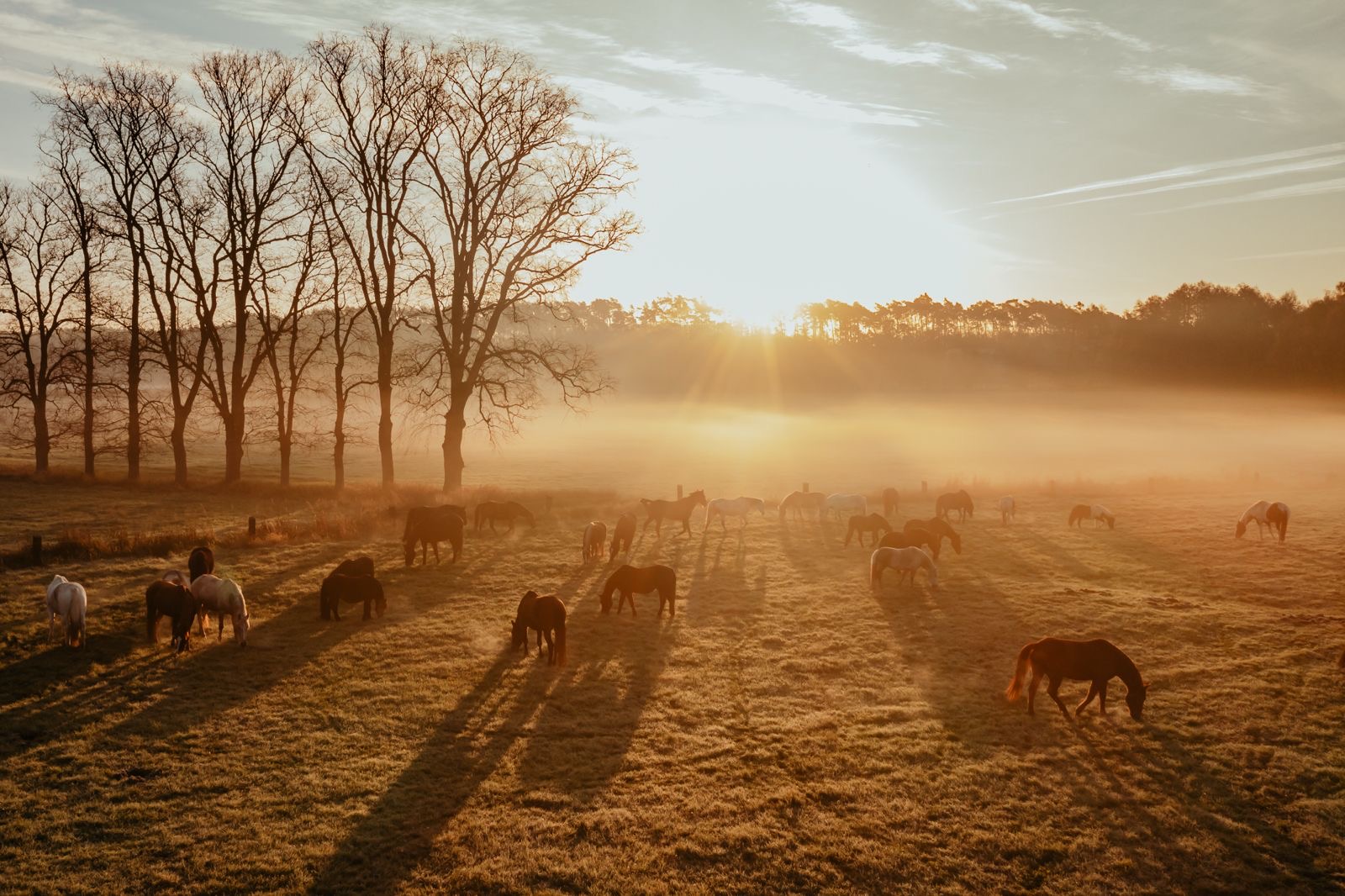 Wyprawa po złotą podkowę w Hermanowie