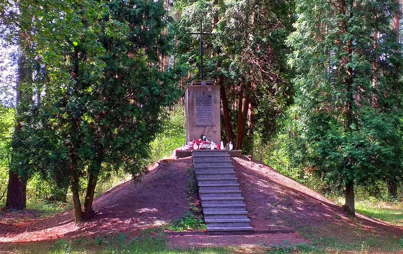 Marzenin —Wola Marzeńska. W hołdzie historii - 1