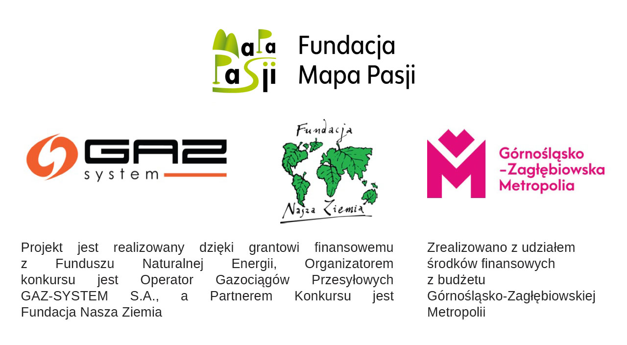 Zagubieni w przyrodzie Doliny Białej Przemszy