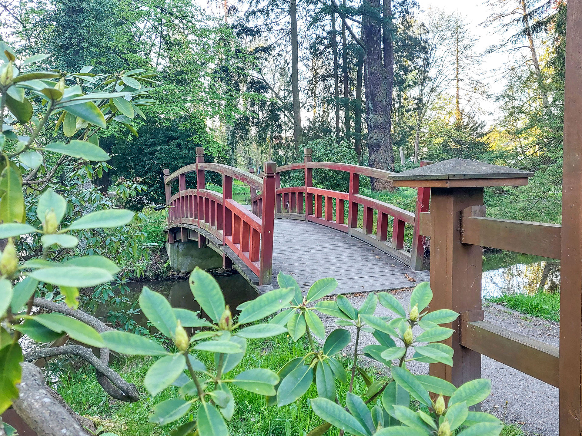 W poszukiwaniu skarbów Iłowej - 1