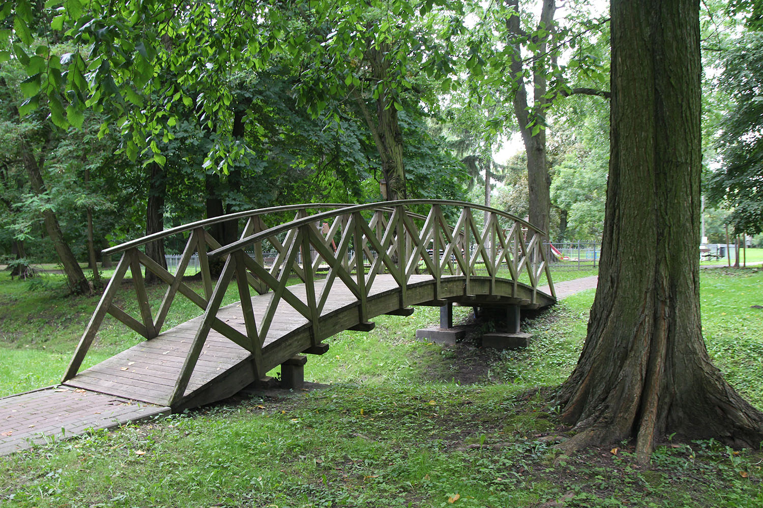 Quest – odkryj gminę Michałowice: Rowerem przez Reguły. O przyrodzie z reguły - 1