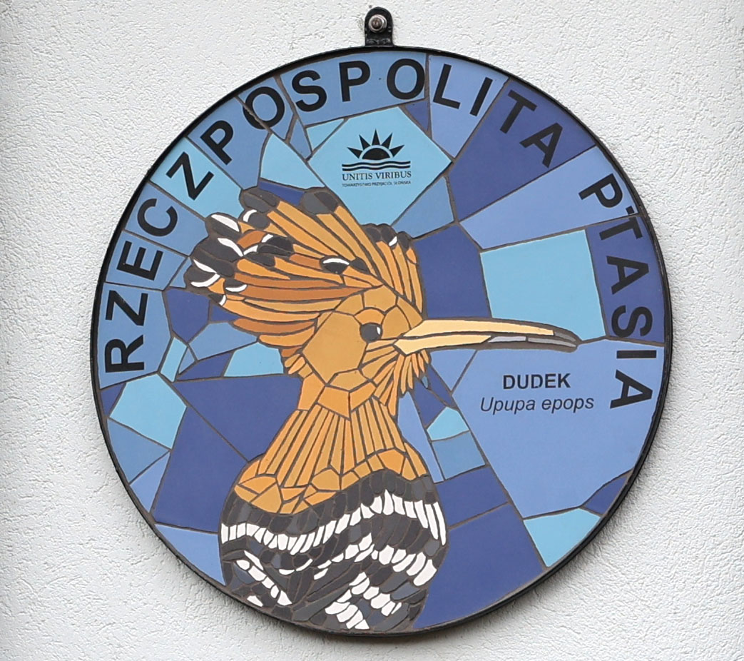 Ptasie w Słońsku