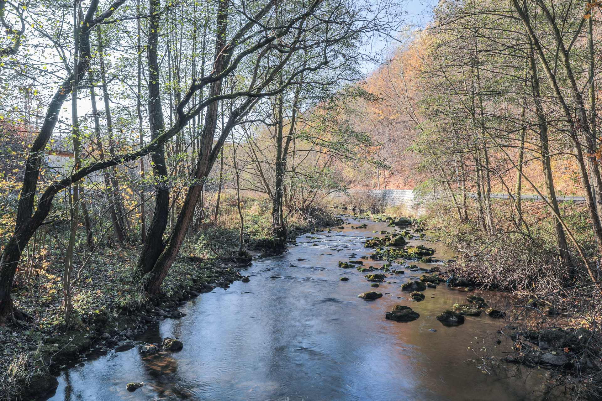 Z nurtem Bystrzycy - 1