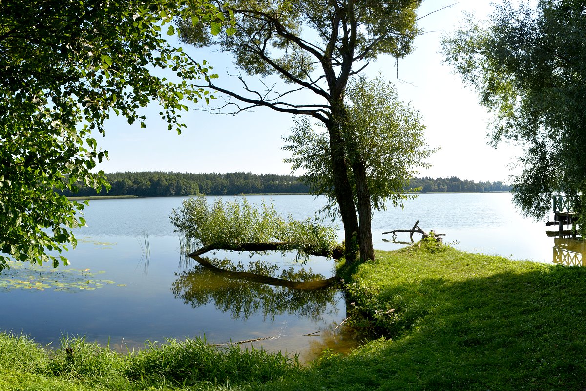 Przygoda z przyrodą w Olecku - 1