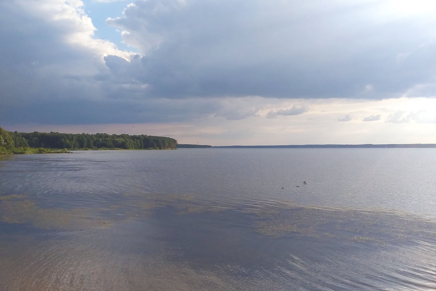 Cuda sześciu wieków nad Zalewem Sulejowskim - 1