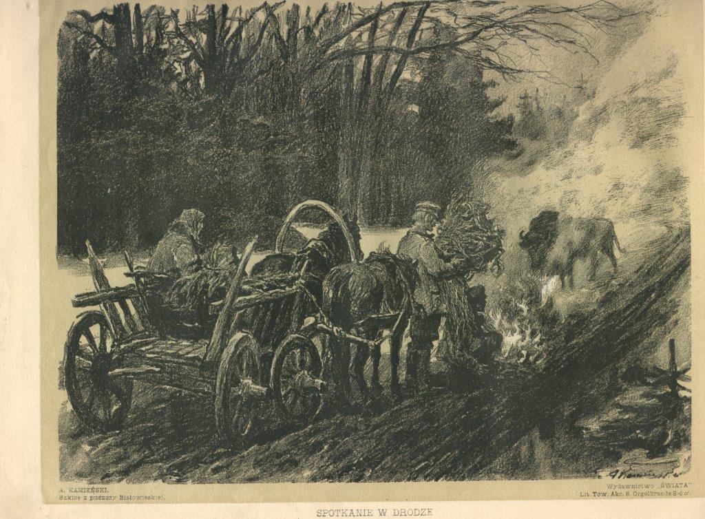 Śladami dawnego osadnictwa w Puszczy Białowieskiej - 1