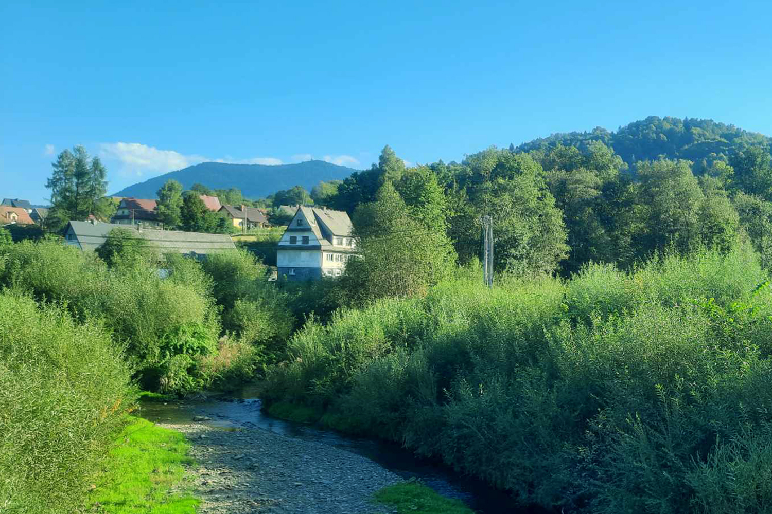 Fauna i flora w cieniu Lubonia - 1