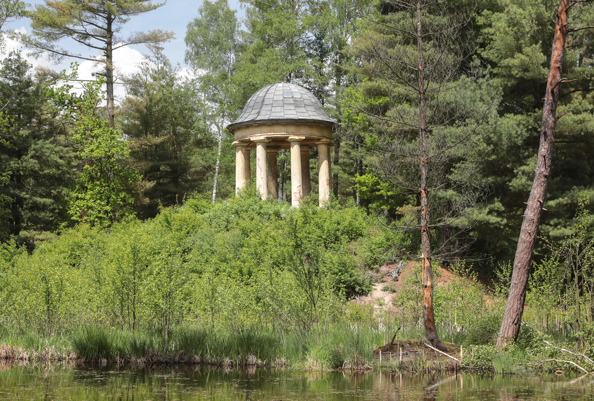 Wyprawa po zabytkowym parku w Pokoju II - 1