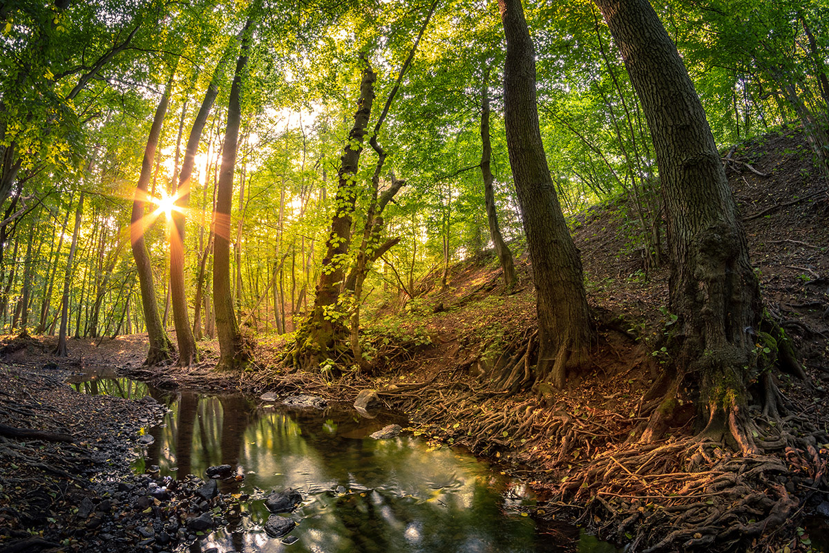 Klimatycznie o wodzie - Gryfino i okolice