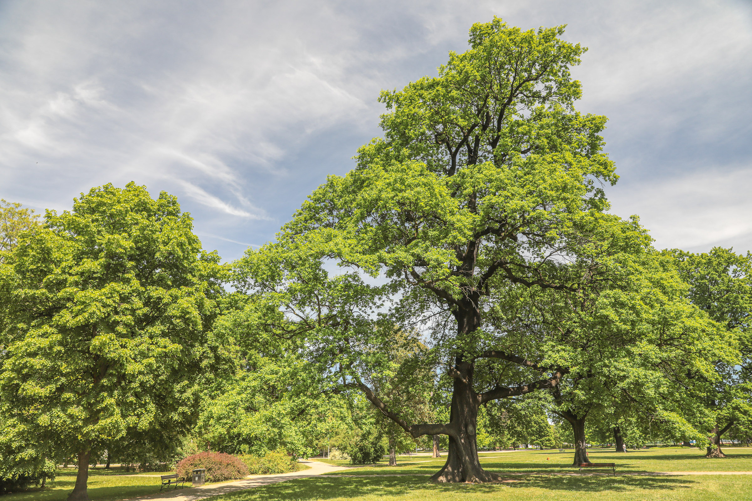 Spotkania z przyrodą w Zabytkowym Parku Miejskim w Legnicy - 1