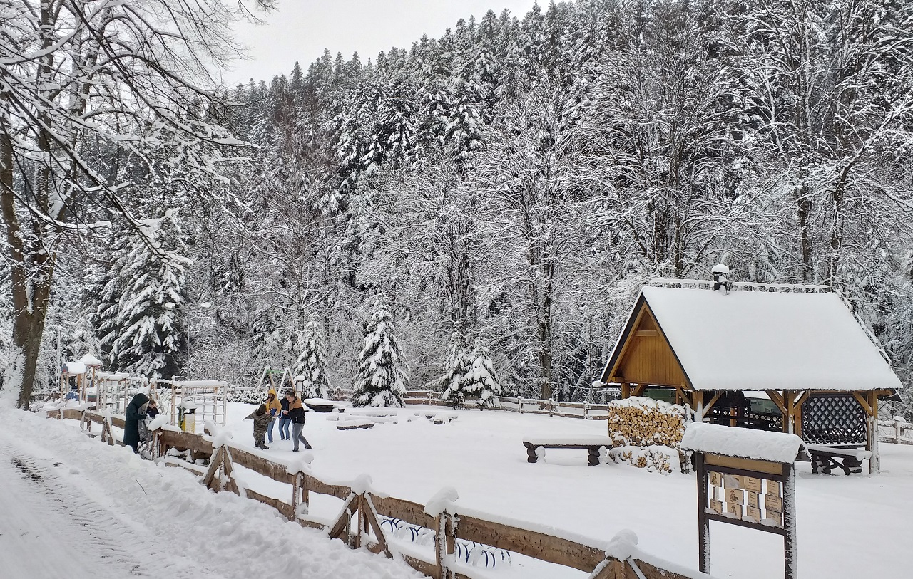 Łomnica - zdrowej wody krynica - 1