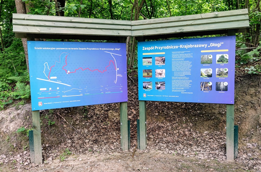 Przygód bez liku w "Głogach" w Mielniku - 1