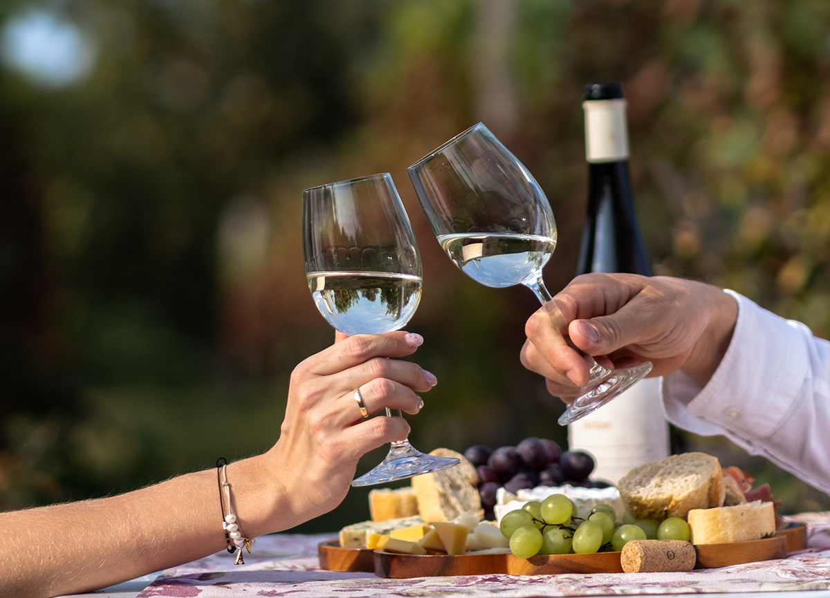 Śladami winiarstwa w Zielonej Górze