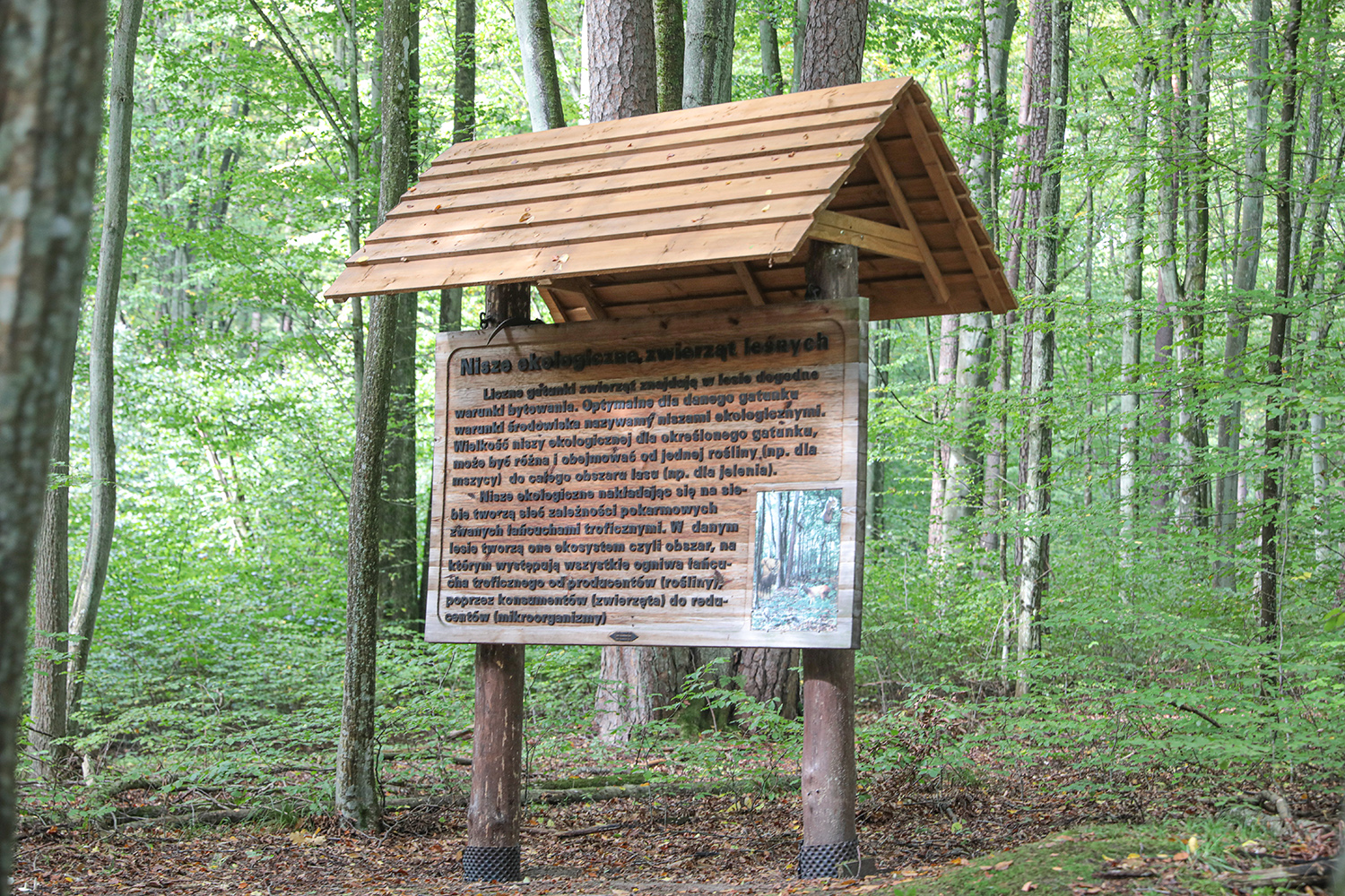 Przyrodnicza wyprawa rowerowa przez Gminę Łukta - 1