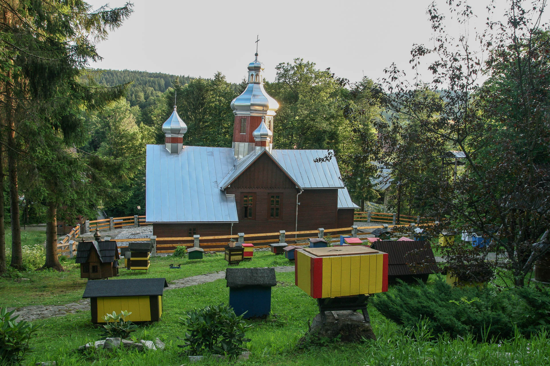 Kamianna miodem pachnąca - 1