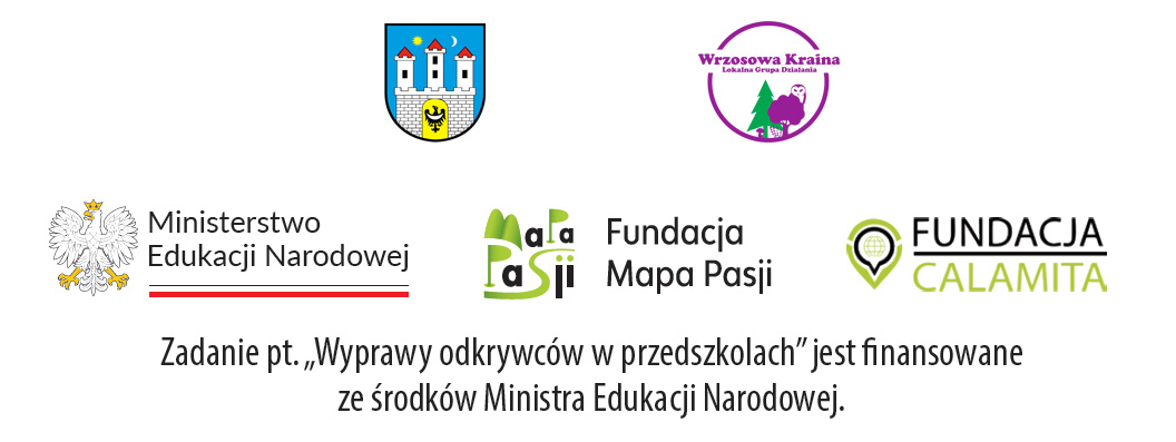 Przedszkolak liczyć potrafi! Zmagania z matematyką w Chojnowie