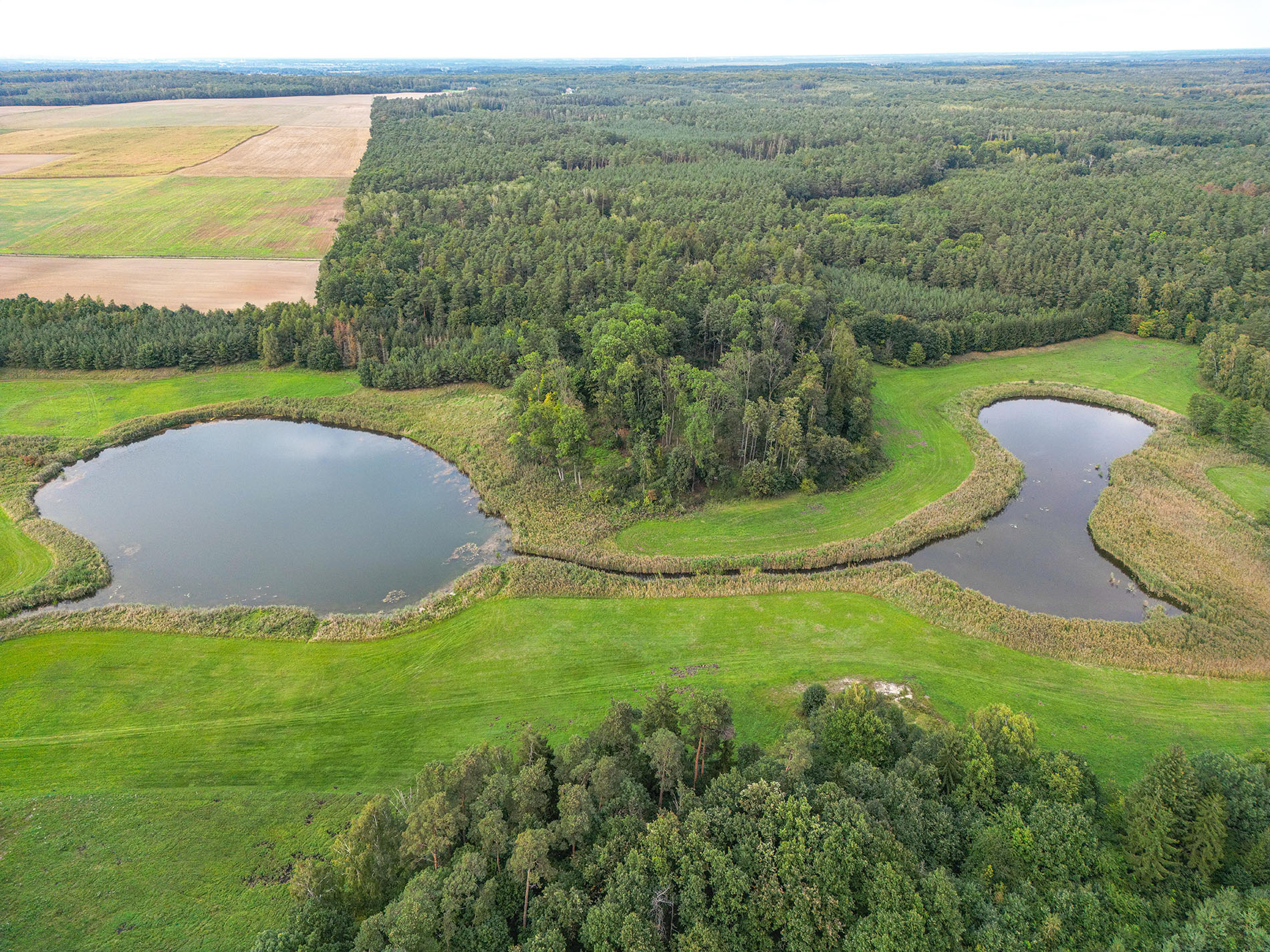 O Nieszawie i bukach opowieści kilka - 1