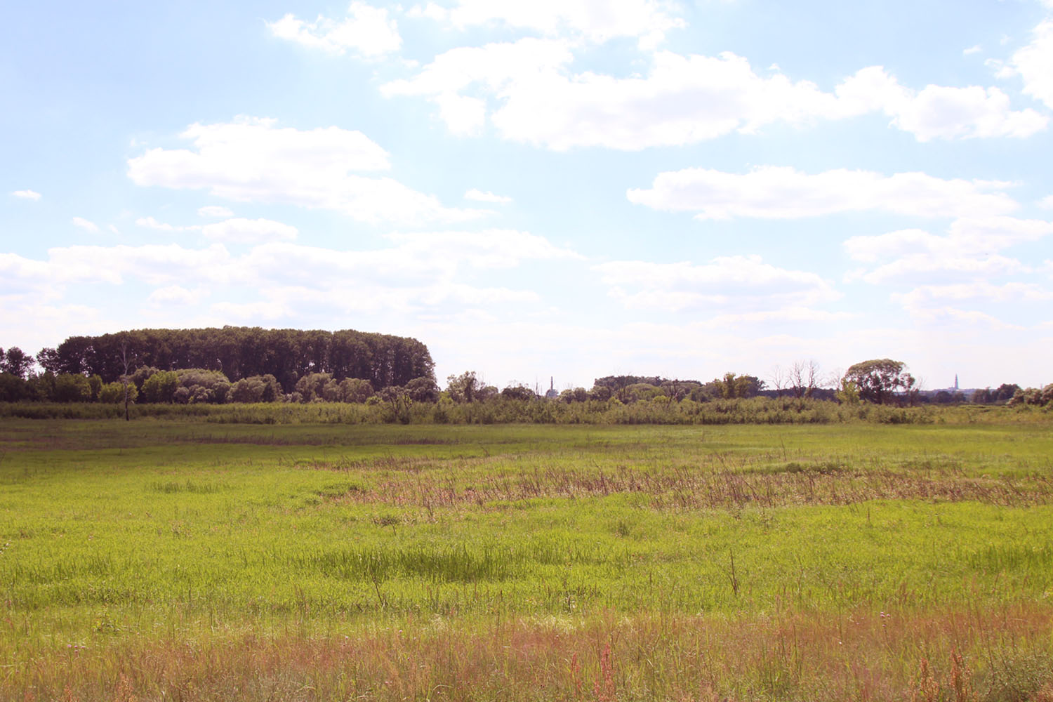 Wyczerpy nad Wartą odwiedzić warto - 1