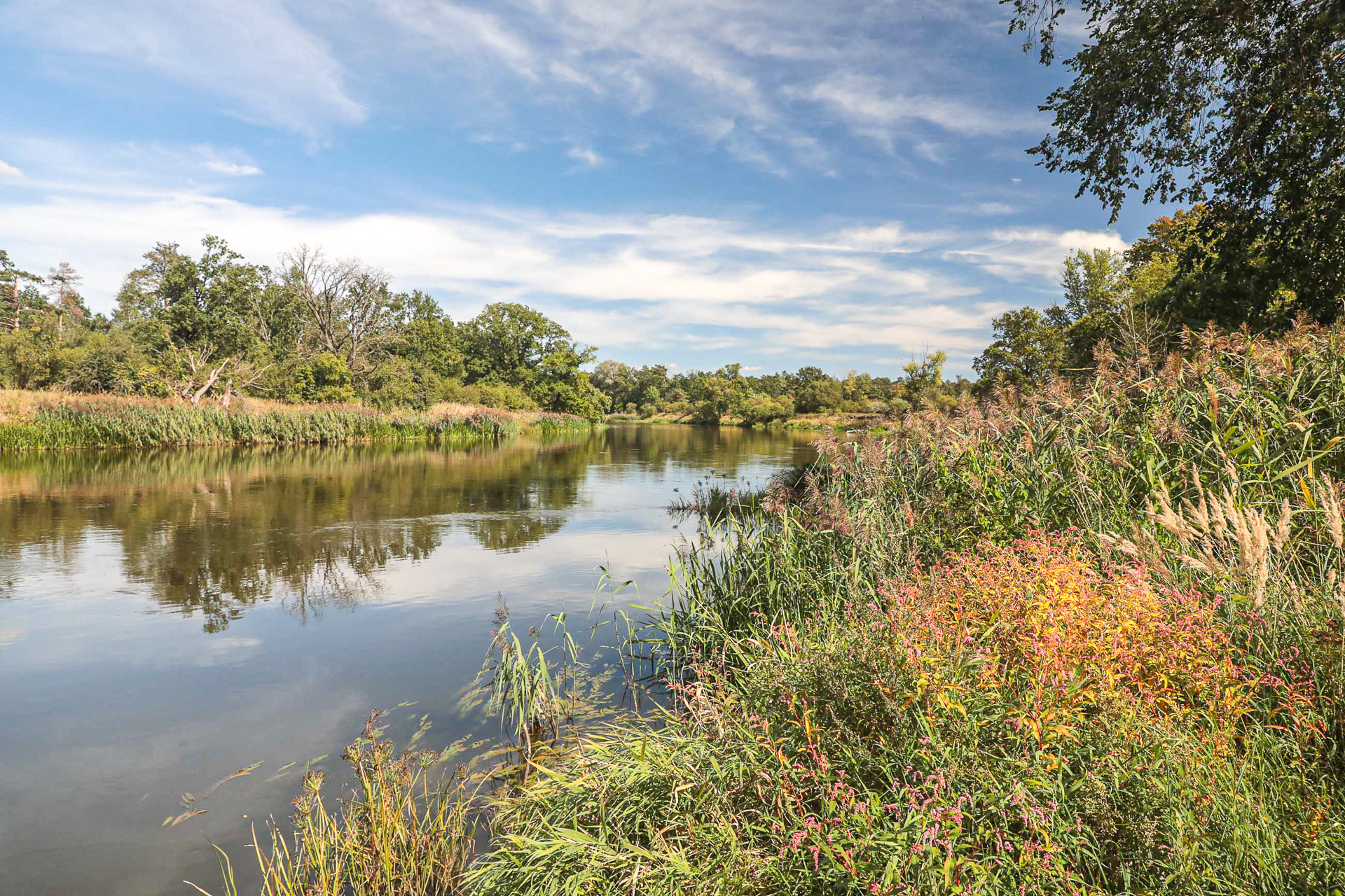 Przyrodnicza wyprawa z historią w tle nad Starą Wartą - 1