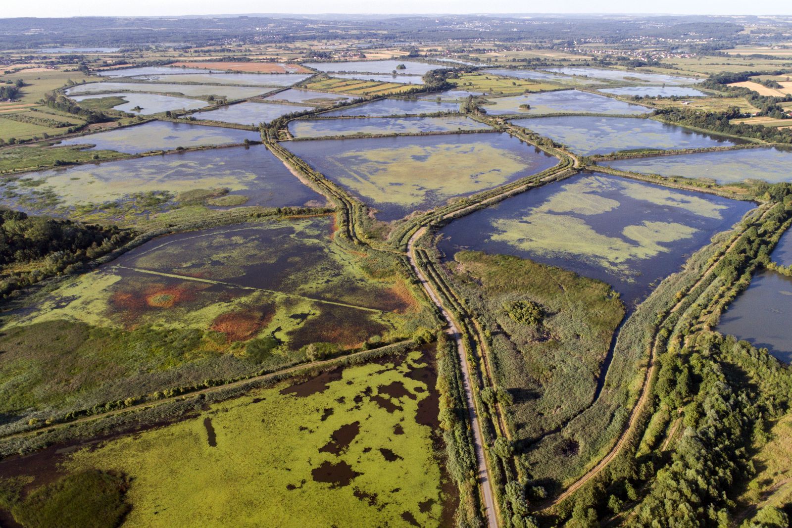 Stawy, ludzie, ptaki - 1