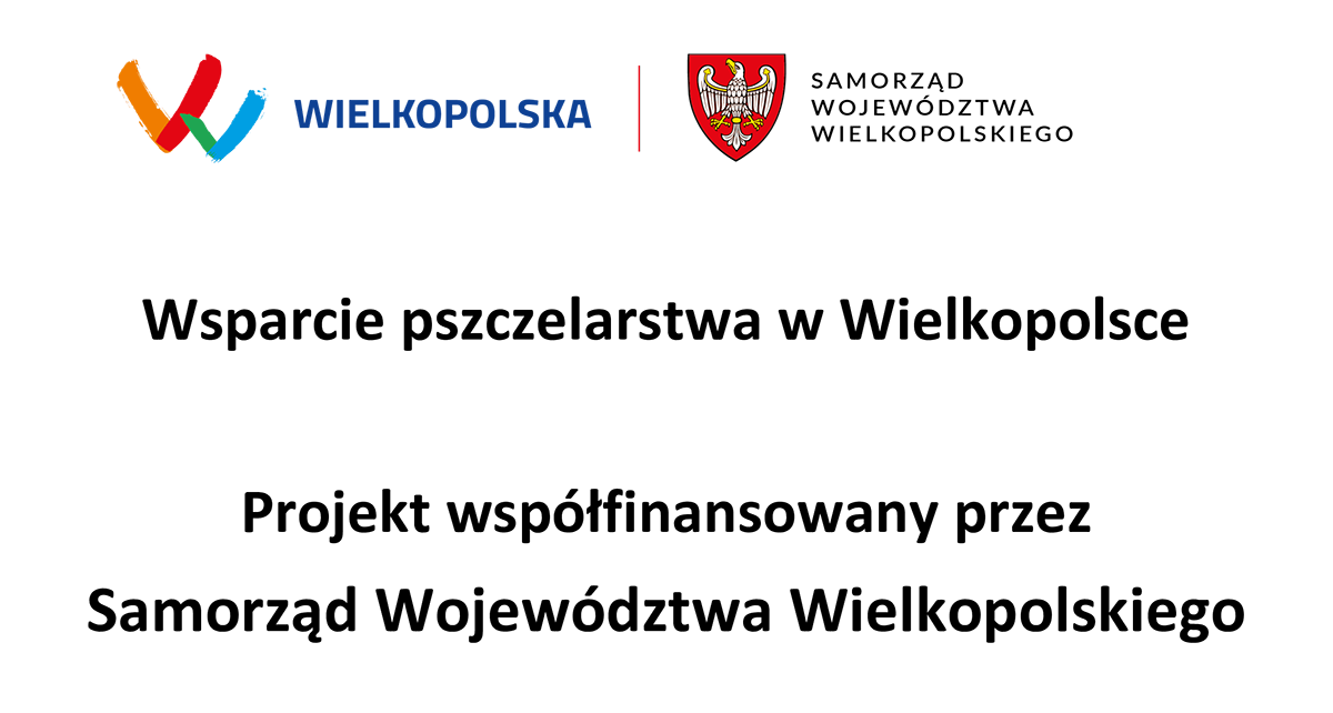 Wyprawa po pszczele ciekawostki i recepturę miodów z Kopaszewa