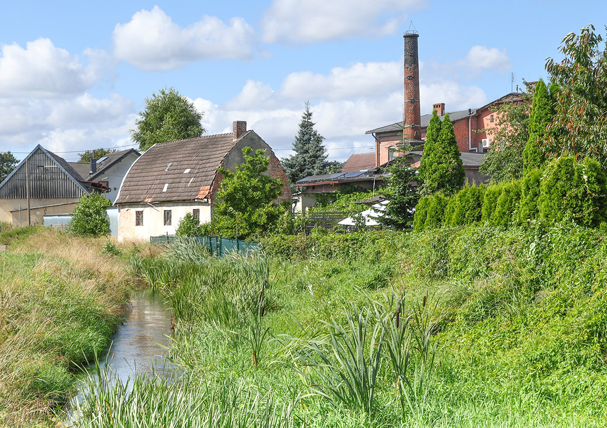 Nowowiejska Wenecja - 1