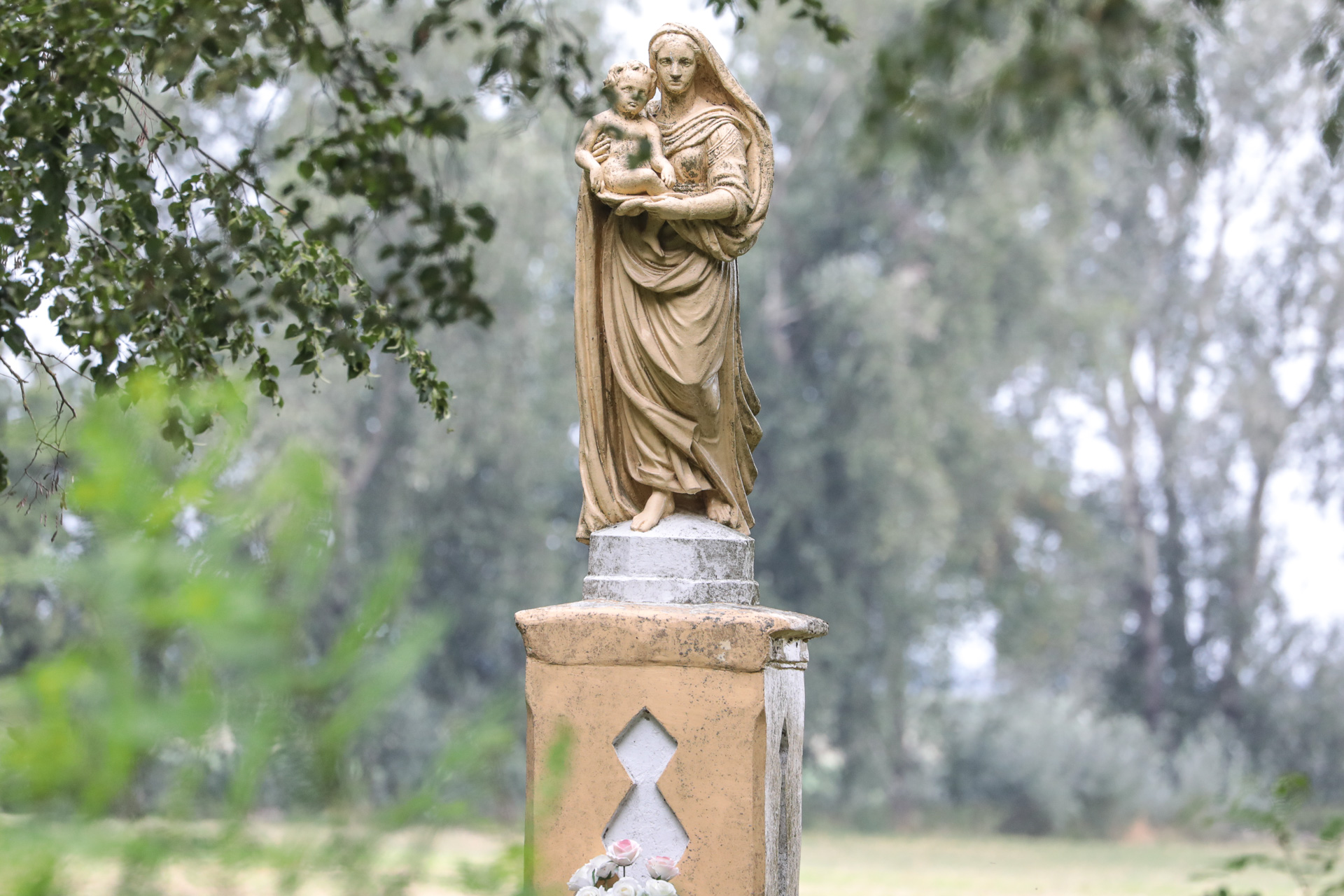 O czym szumią gorazdowskie lipy? - 1