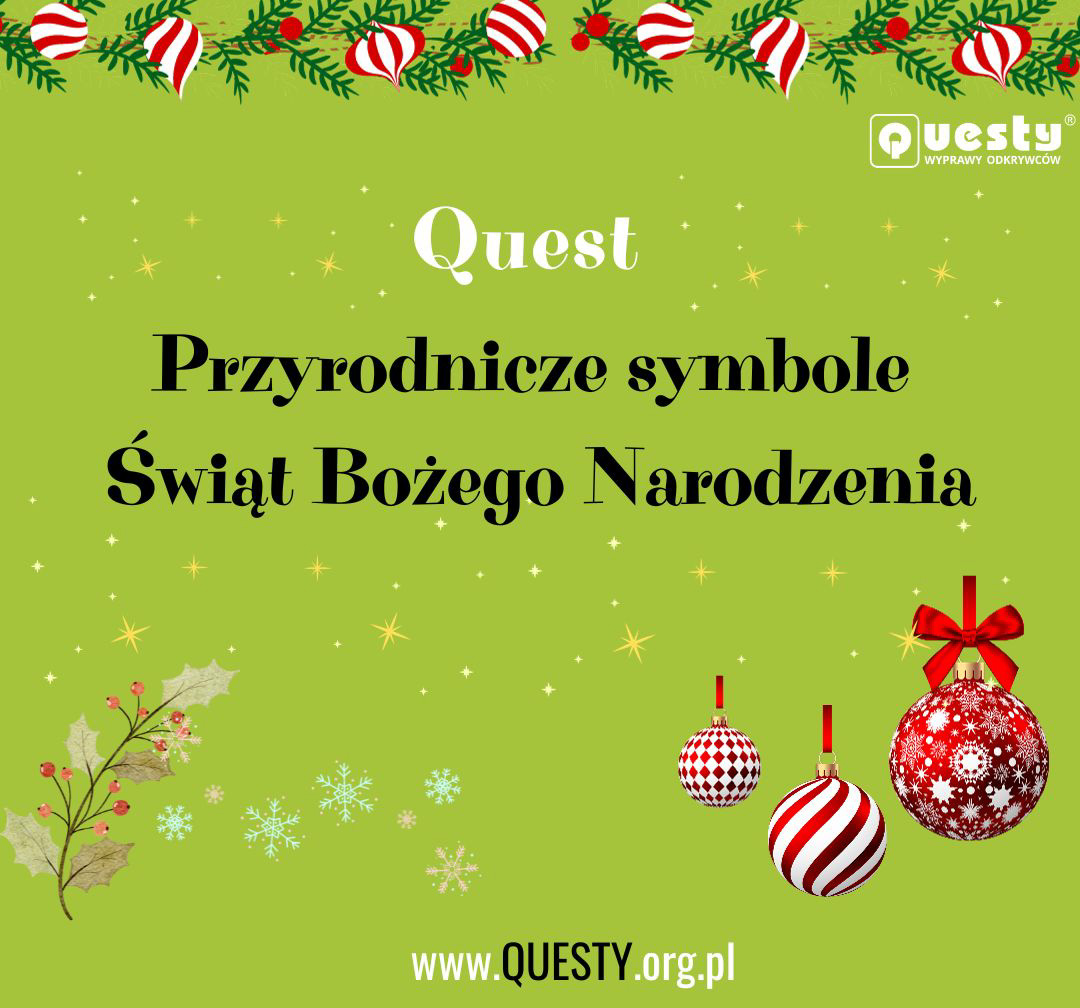 Przyrodnicze symbole Świąt Bożego Narodzenia - 1