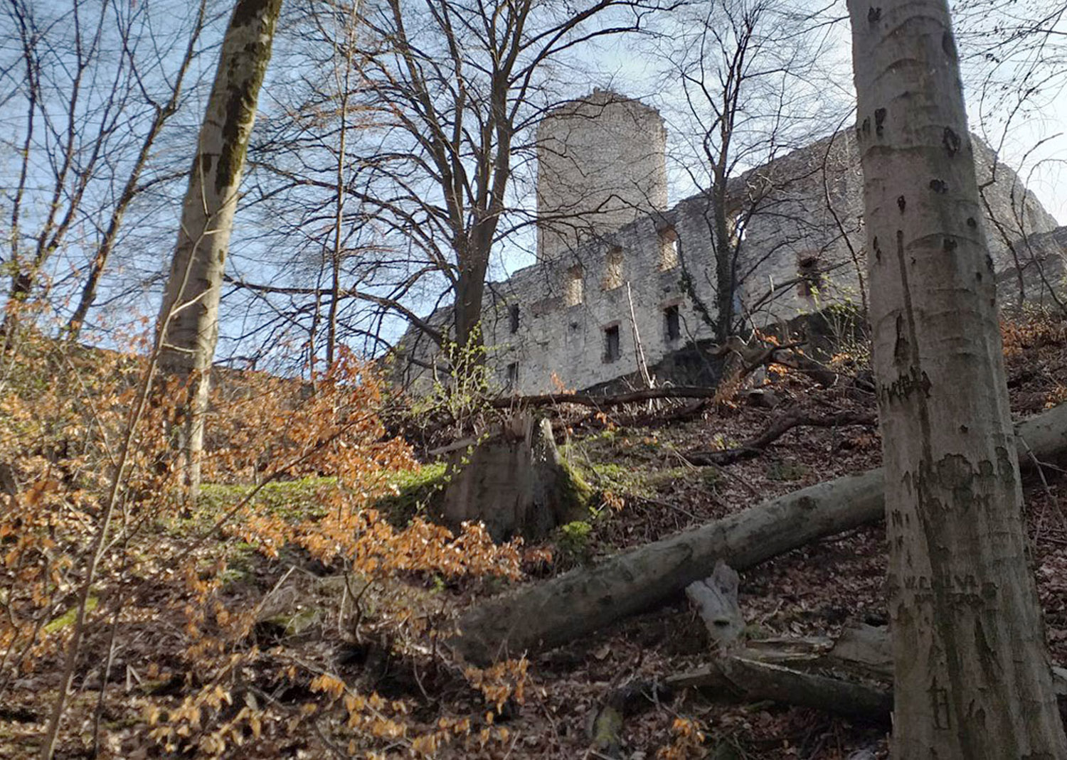 Wycieczka rowerowa do zamku Lipowiec z Chrzanowa - 1