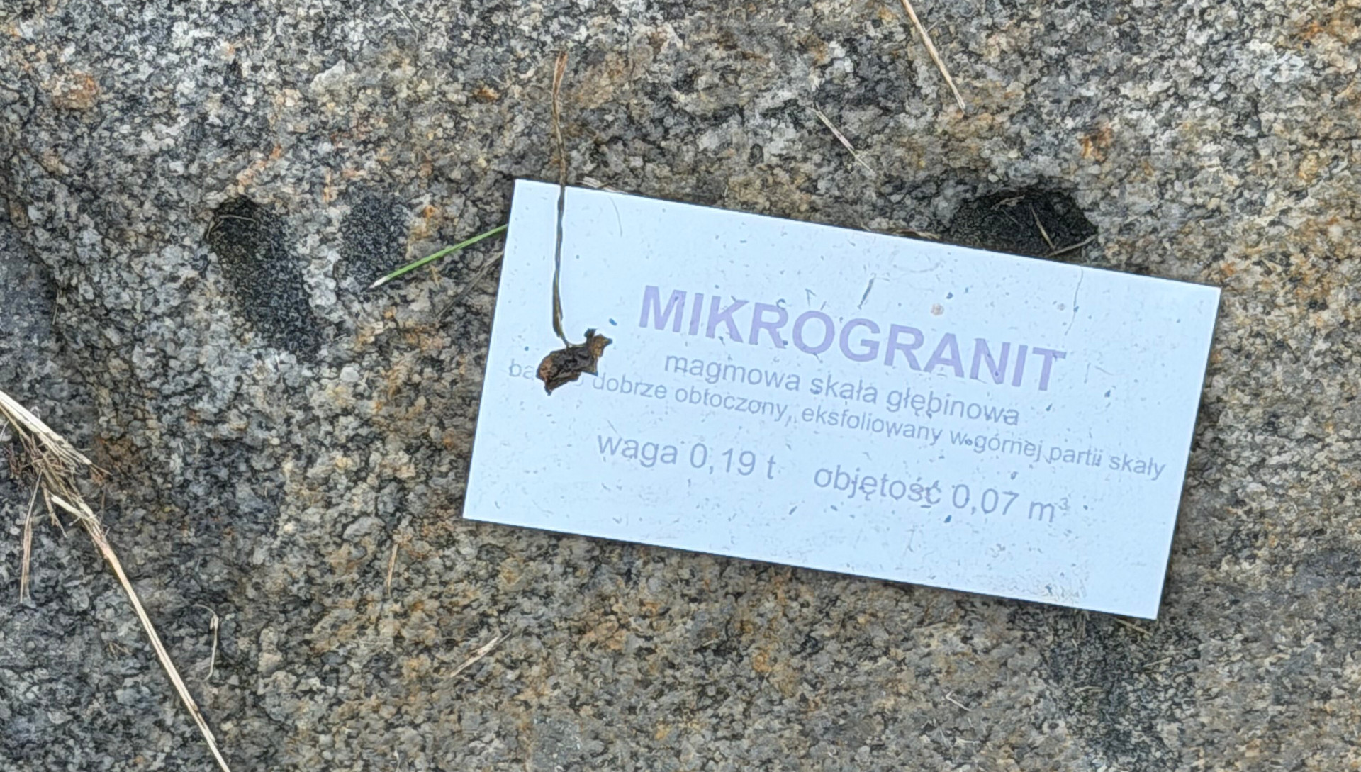 Gleby Michałowic – sekrety ukryte w ziemi