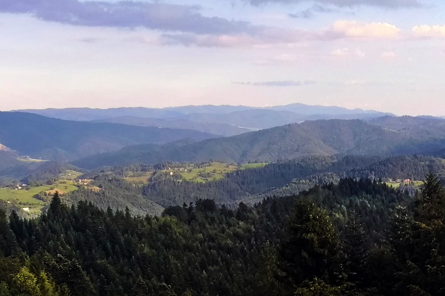 Dawne życie na Niemcowej - 1