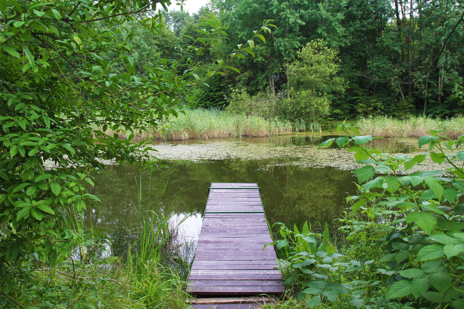 Wyprawa po skarby gminy Lubochnia - 1