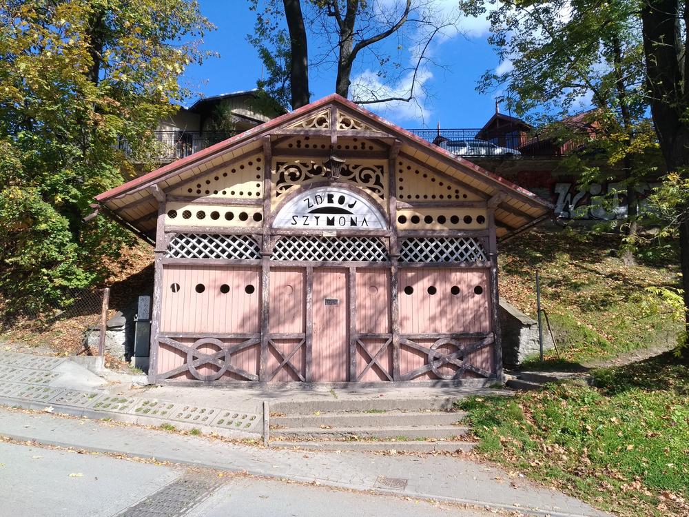 Spacer z Józefem Szalayem - 1