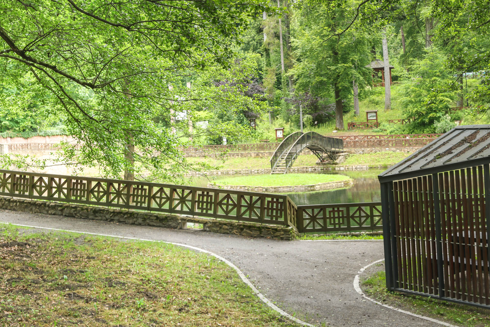 Zdrowo przez naturę w Głuchołazach - 1